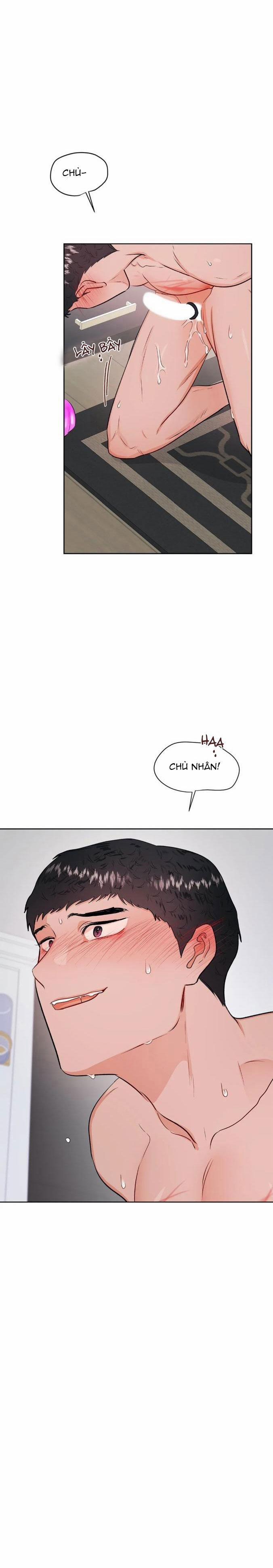 Thầy Giáo Thể Dục M 36 trang 11