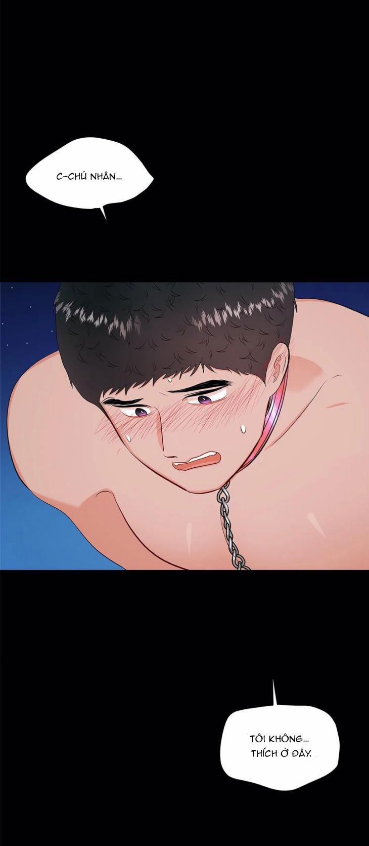 Thầy Giáo Thể Dục M 45 trang 40