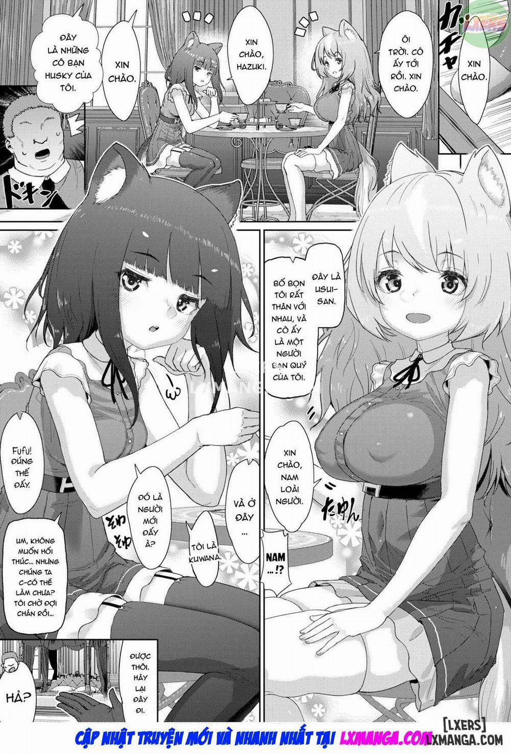 The Animal-Eared Little Ladies Sexual Plaything Oneshot trang 17