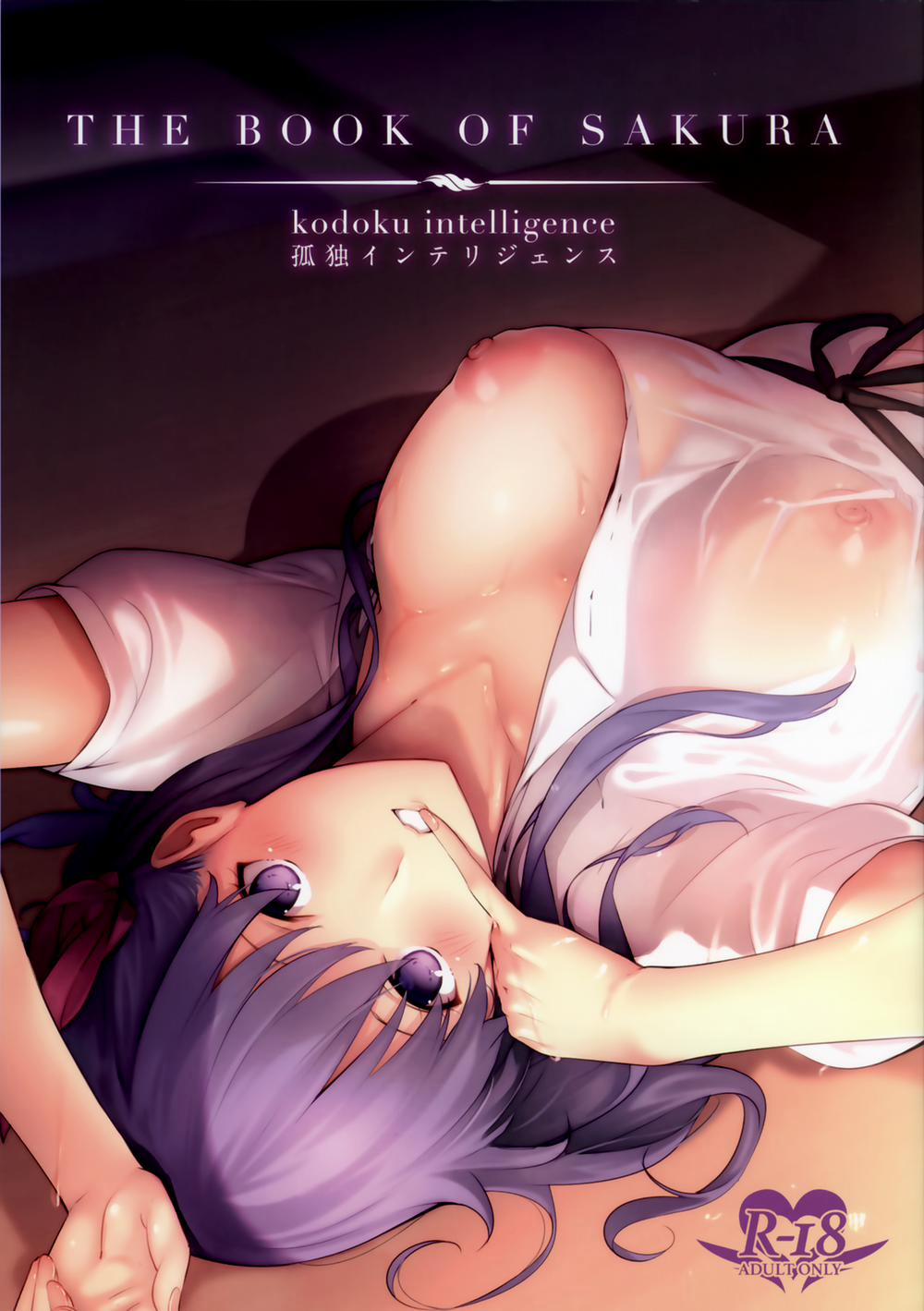 The Book Of Sakura (Fate/Stay Night) Oneshot trang 0