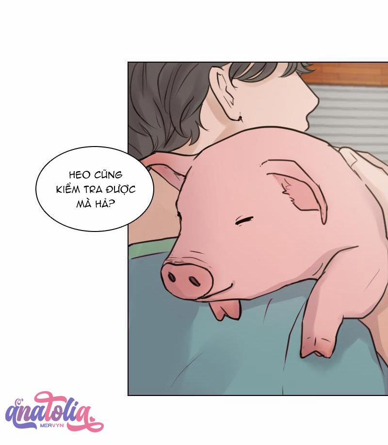 The Doctors are Out 1 trang 32