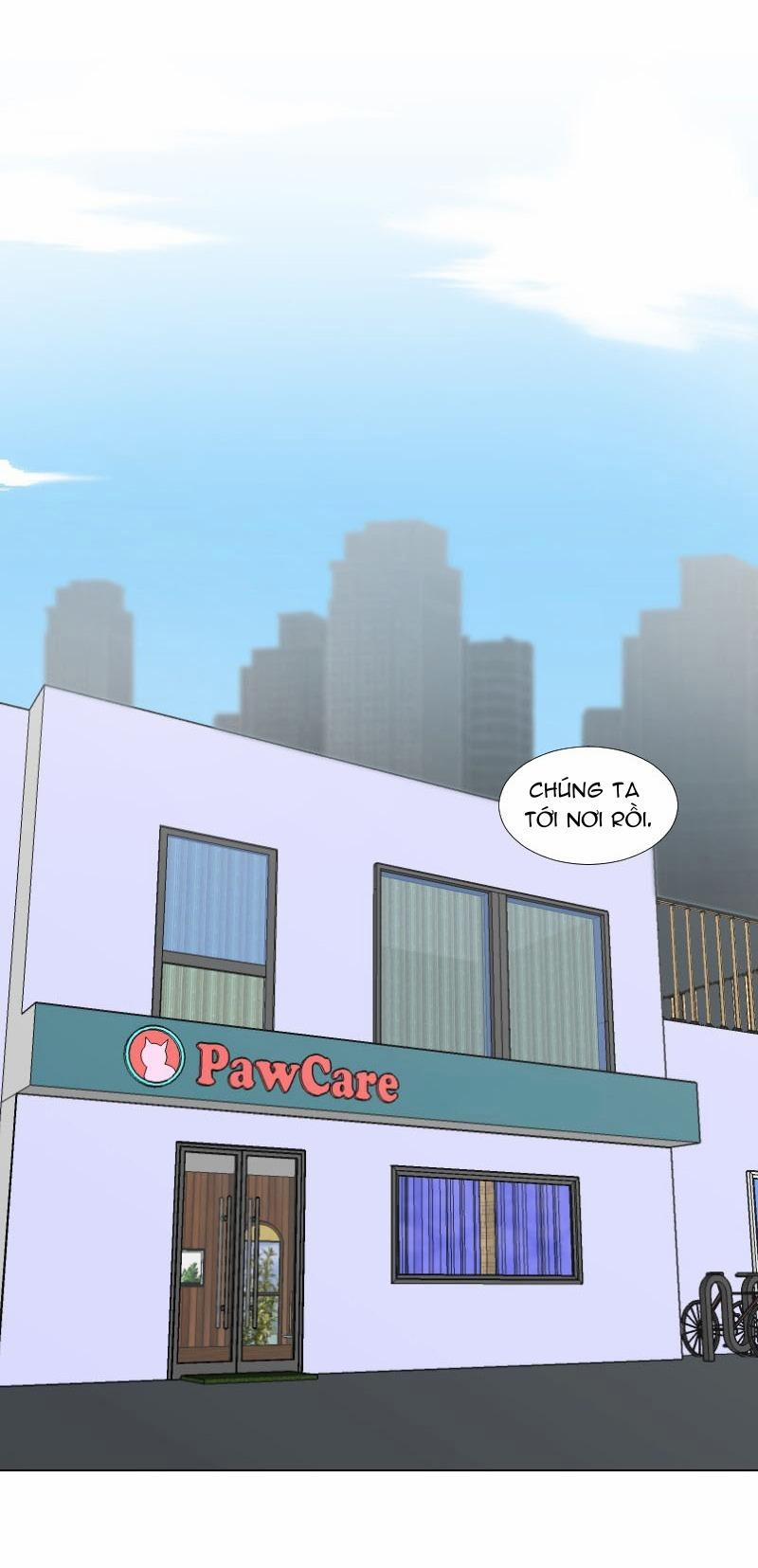 The Doctors are Out 15 trang 12