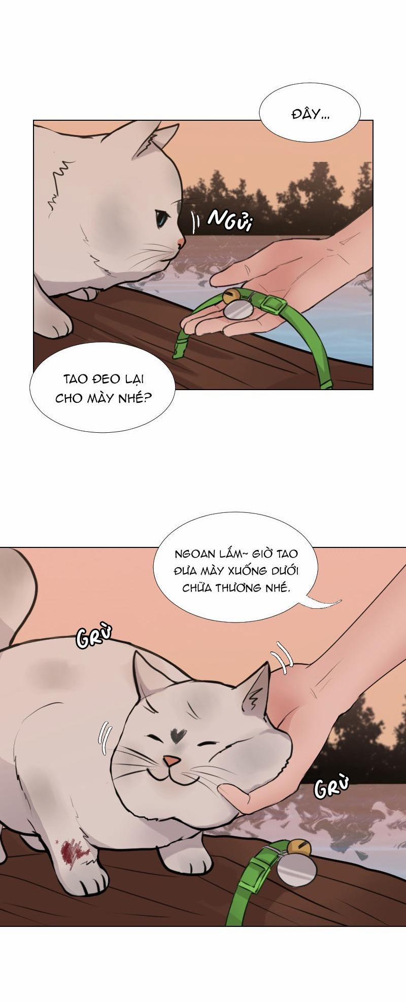 The Doctors are Out 17 trang 31