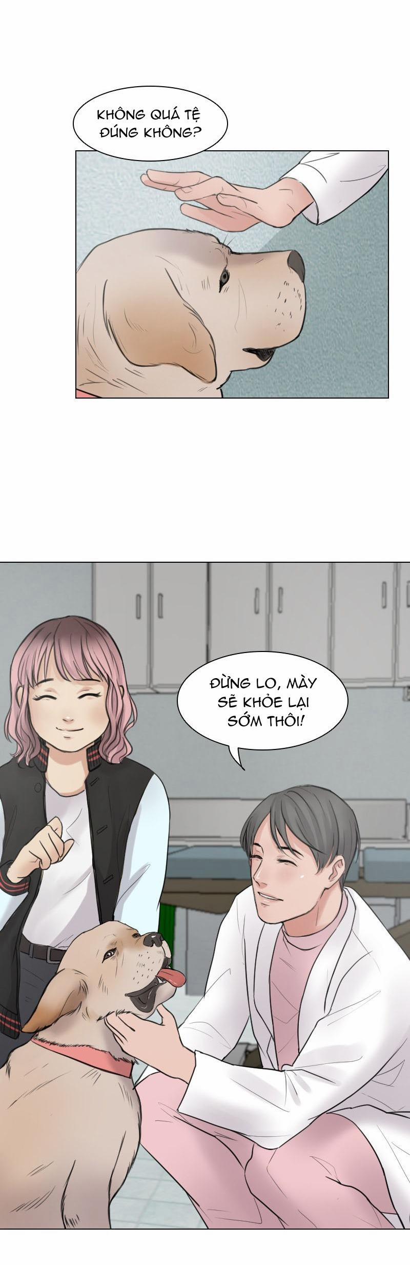 The Doctors are Out 6 trang 5