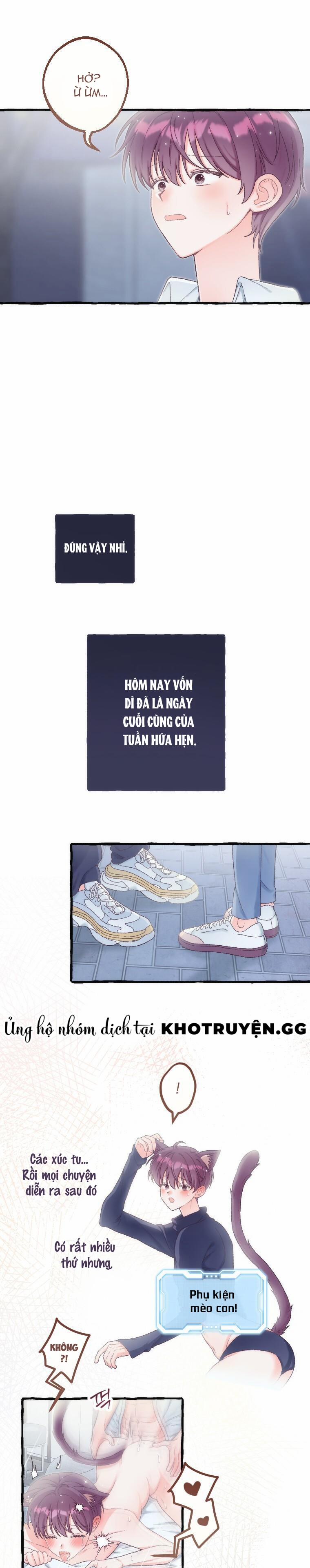 Thế Giới Của Hậu Cung 7 trang 1