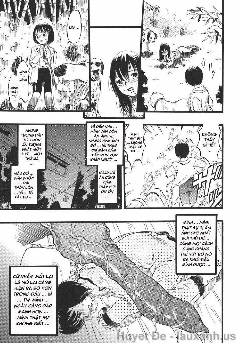 The Girl Dreams Dogs 1 trang 13