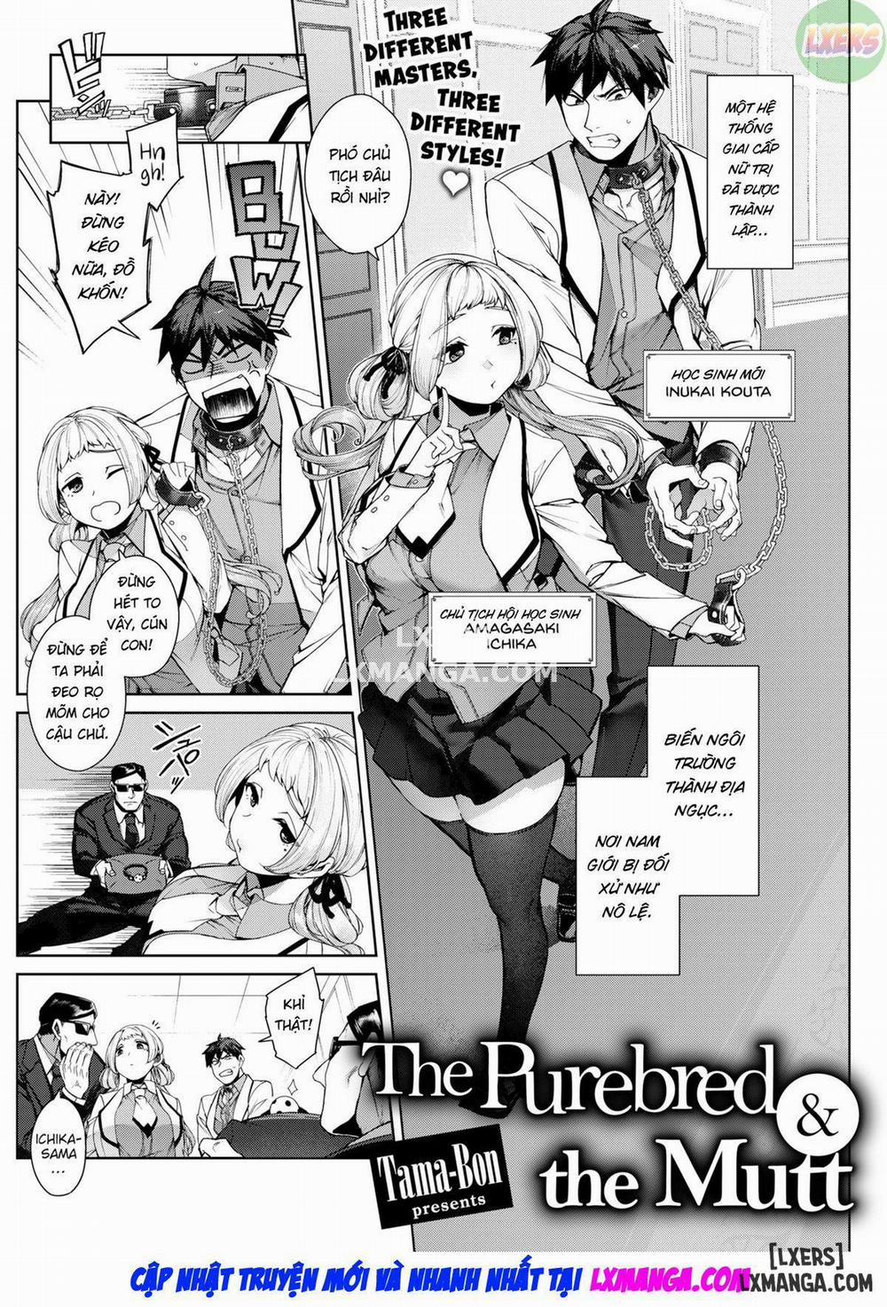 The Purebred and the Mutt Oneshot trang 4