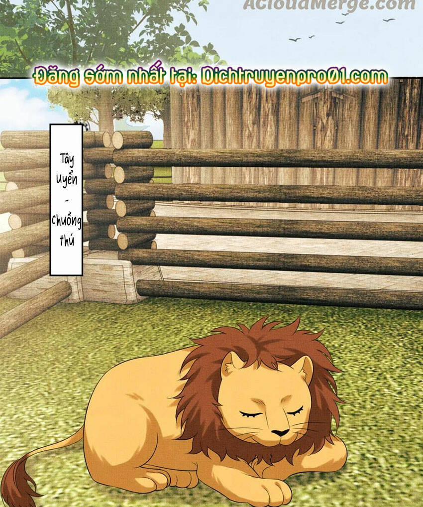 Thê Vi Thượng 136.4 trang 20