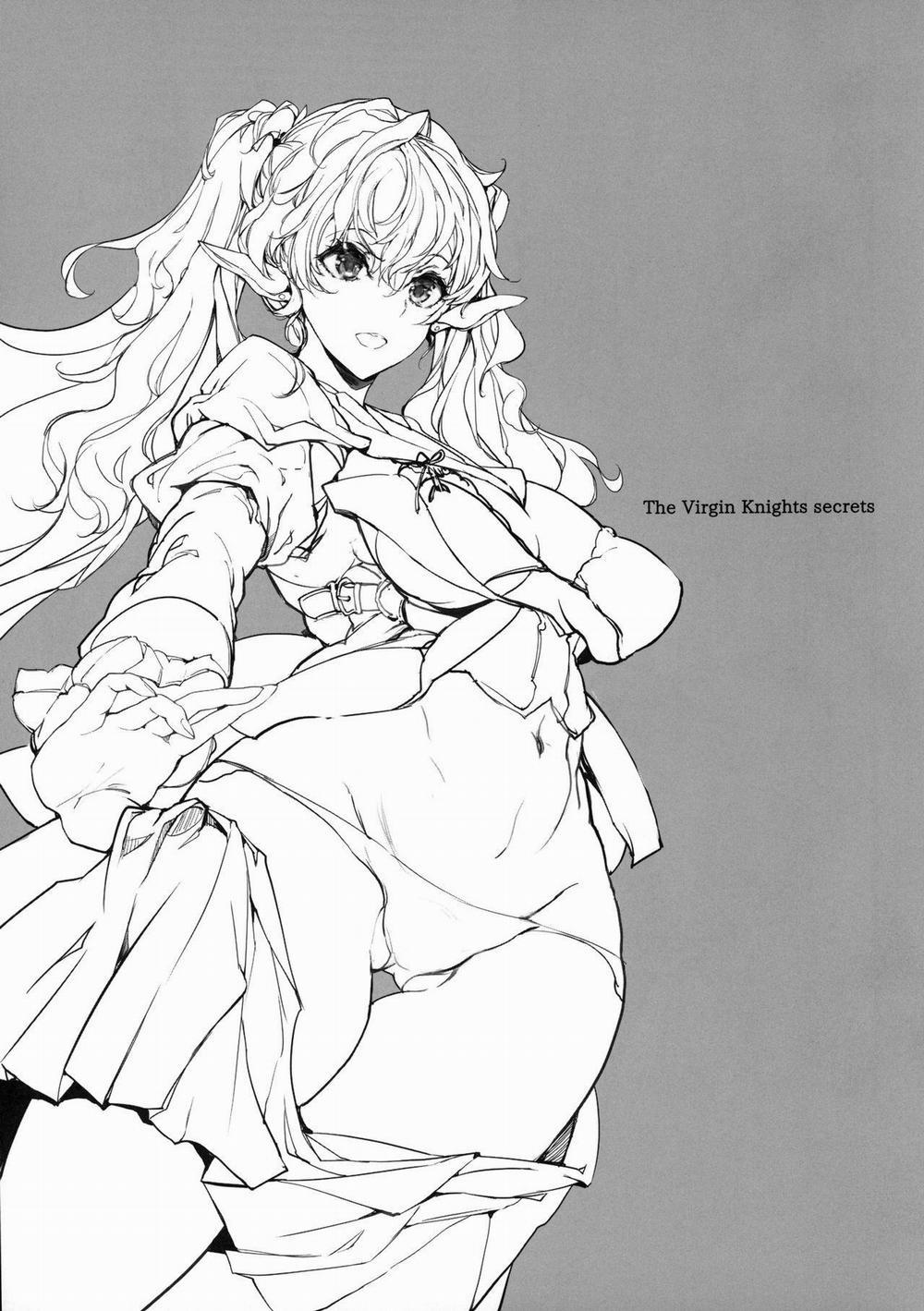 The Virgin Knights Secrets 1 trang 2