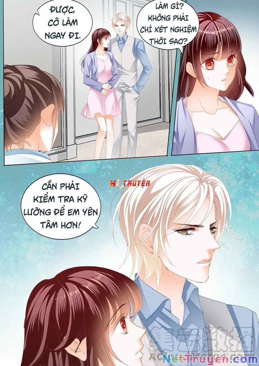 Thiểm Hôn Kiều Thê 293 trang 3