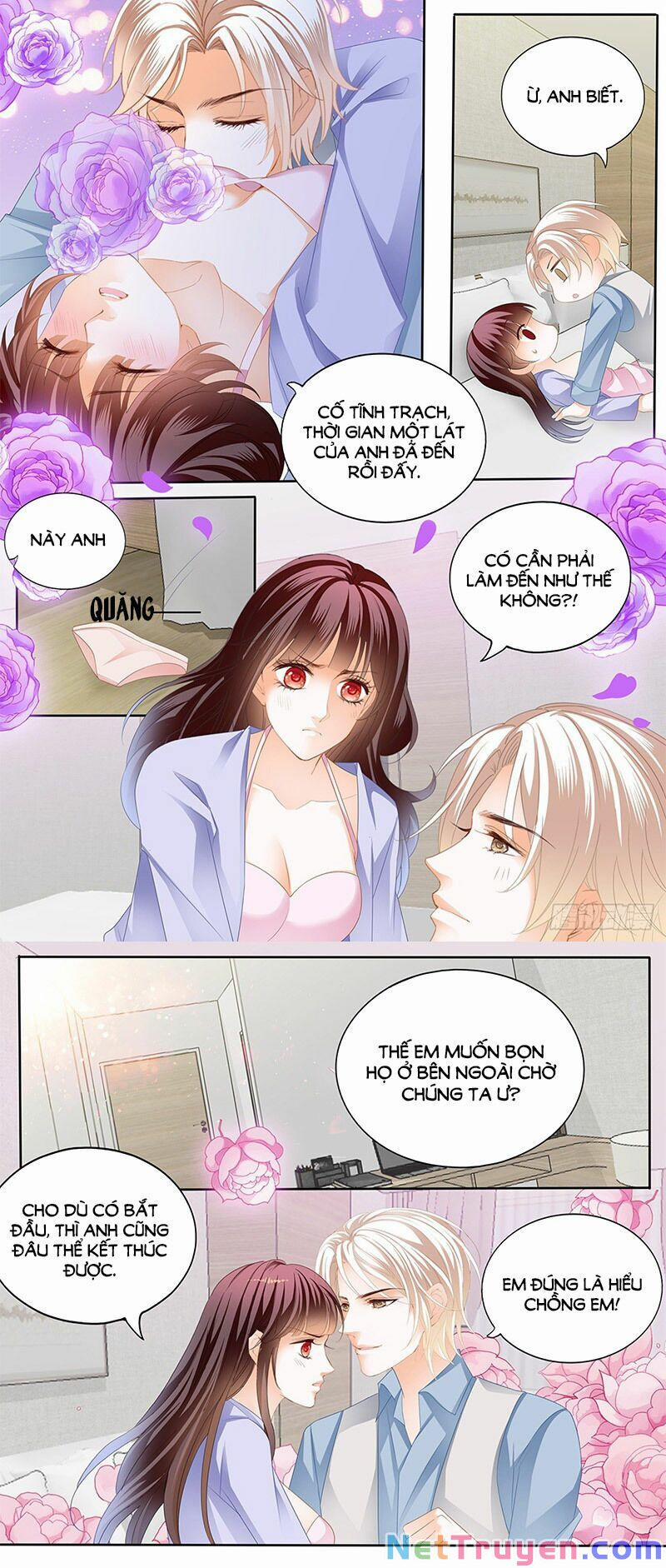 Thiểm Hôn Kiều Thê 294 trang 8