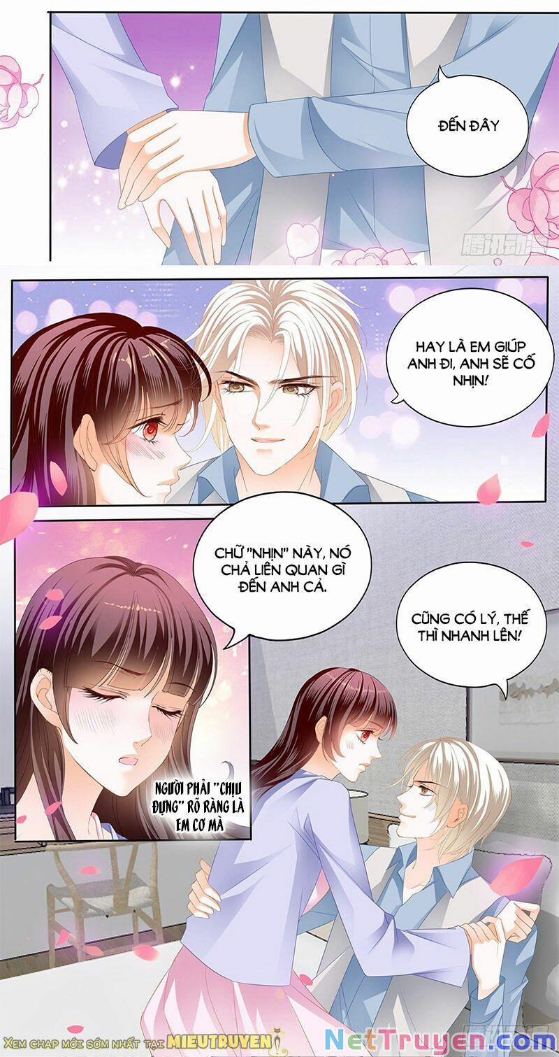 Thiểm Hôn Kiều Thê 294 trang 9