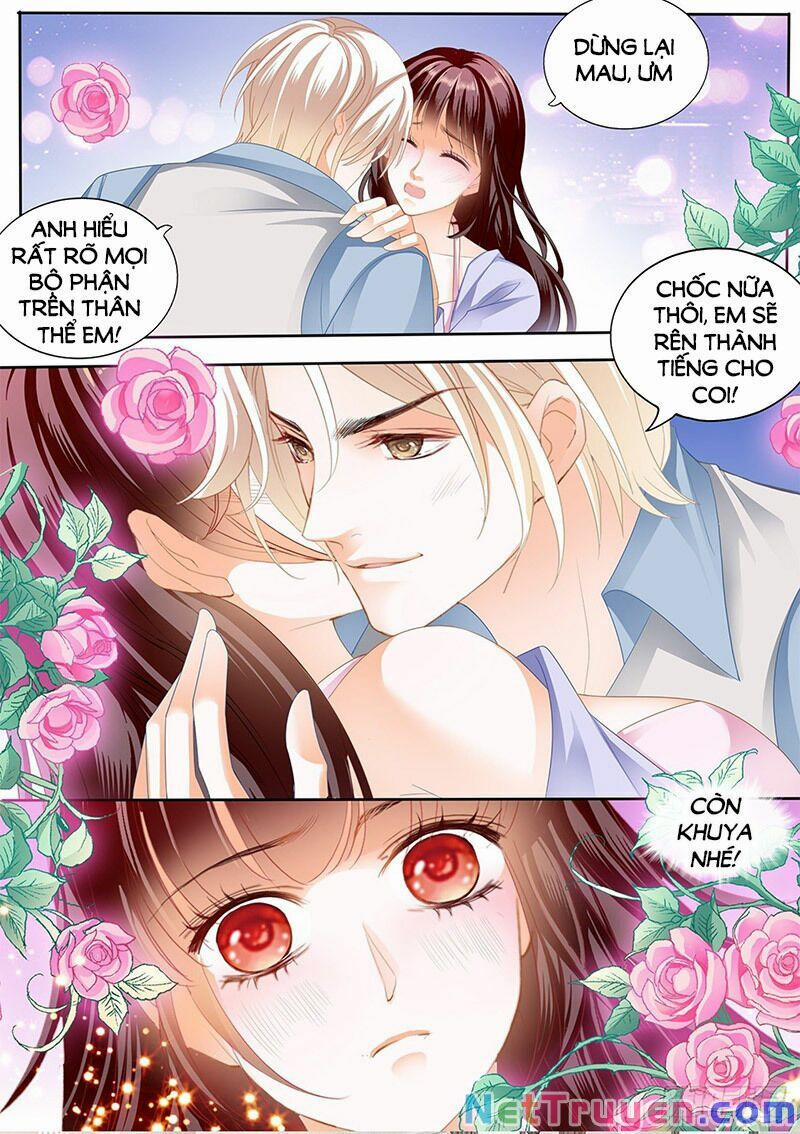 Thiểm Hôn Kiều Thê 295 trang 10