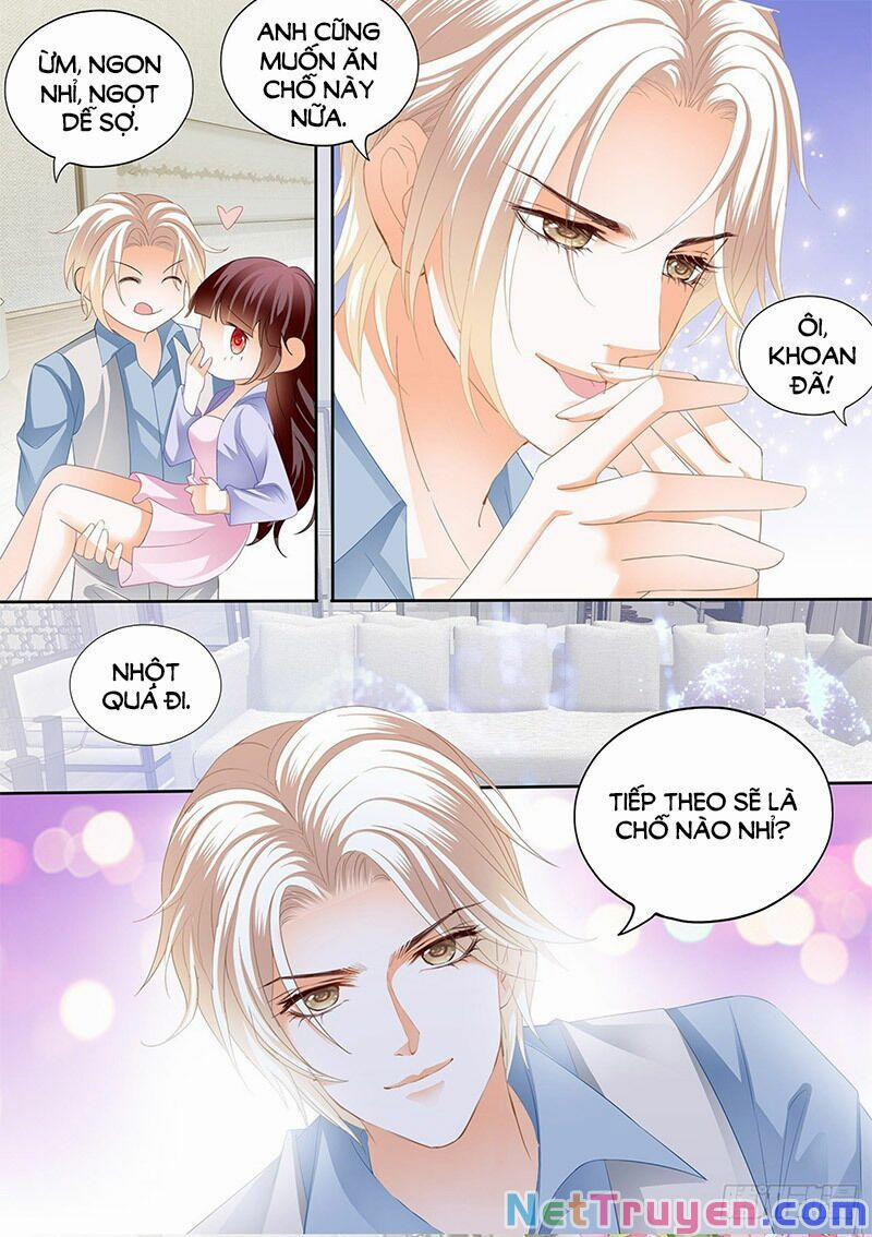 Thiểm Hôn Kiều Thê 295 trang 4