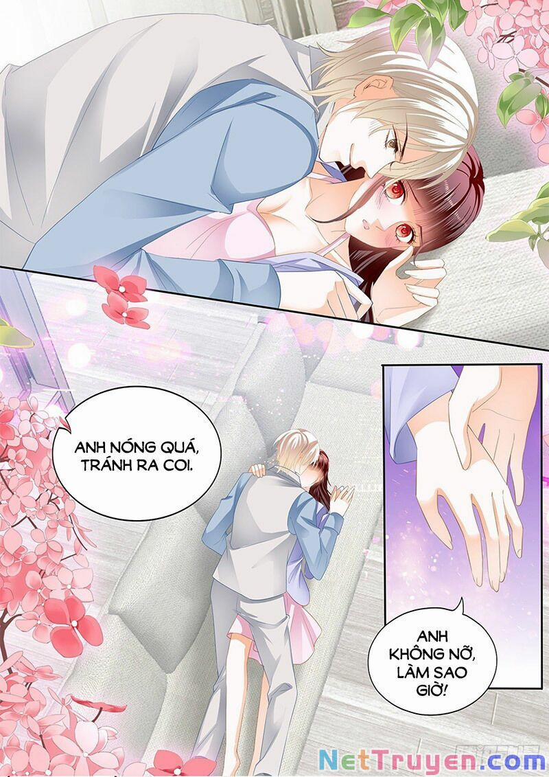 Thiểm Hôn Kiều Thê 295 trang 5