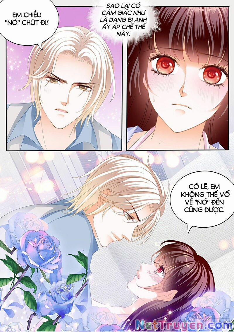 Thiểm Hôn Kiều Thê 295 trang 6