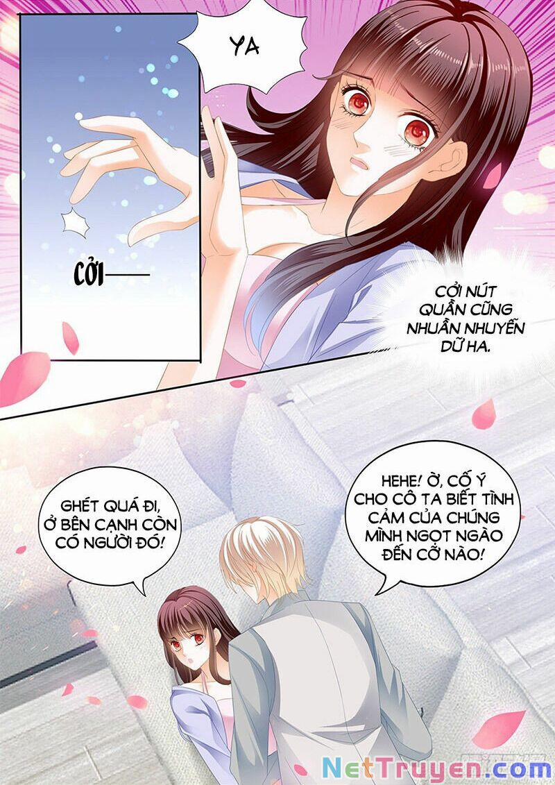 Thiểm Hôn Kiều Thê 295 trang 8