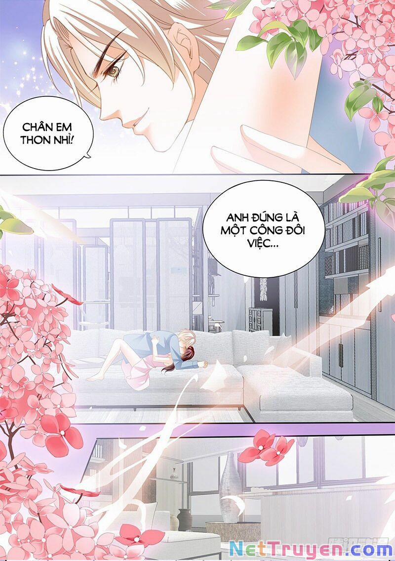 Thiểm Hôn Kiều Thê 296 trang 10