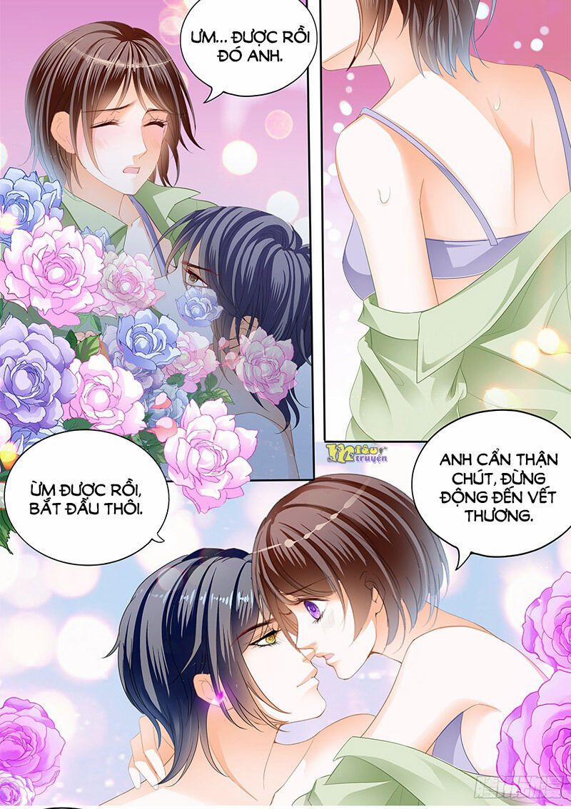Thiểm Hôn Kiều Thê 301 trang 8