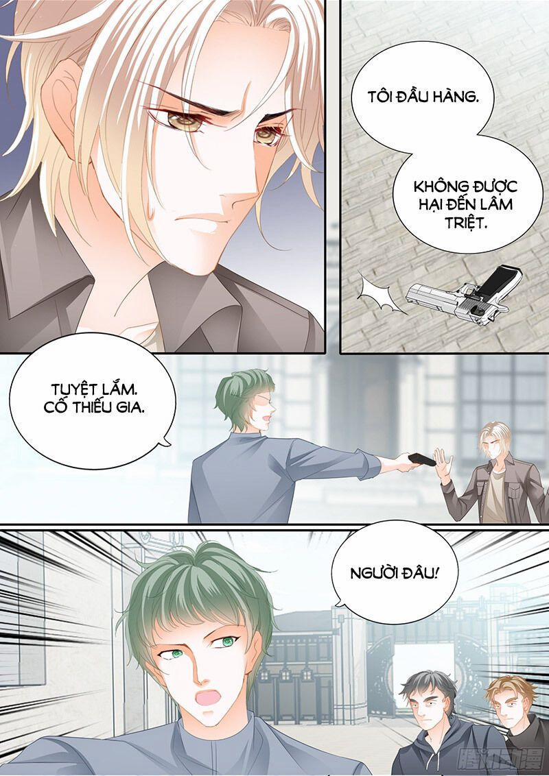 Thiểm Hôn Kiều Thê 311 trang 9