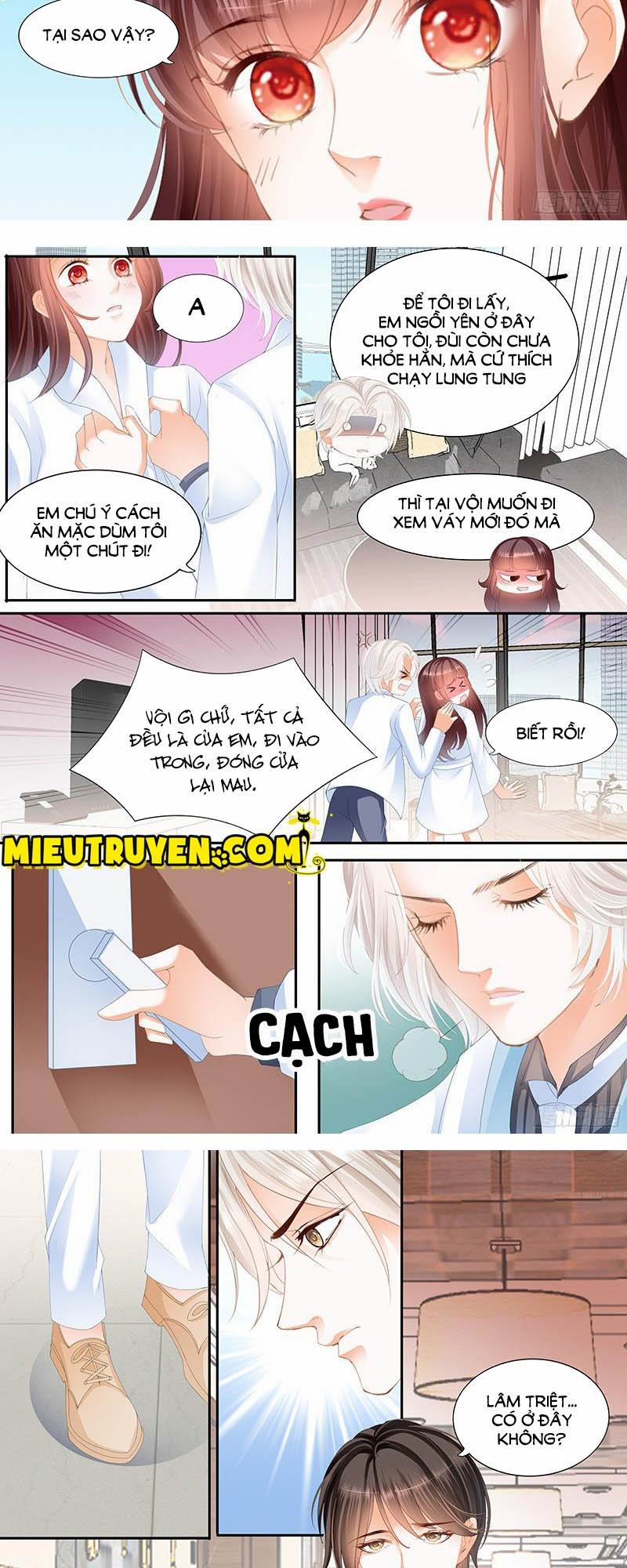 Thiểm Hôn Kiều Thê 41 trang 1