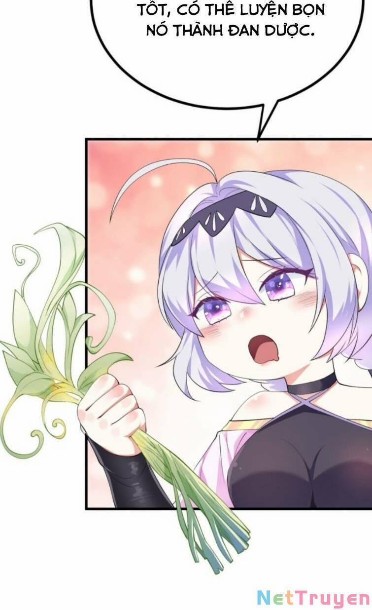 Thiên Đạo Nguyền Rủa Ư? Ta Nghịch Thiên!! 19 trang 4