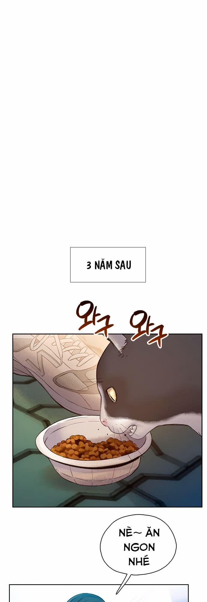 Thiền Định - Samadhi 9 trang 1