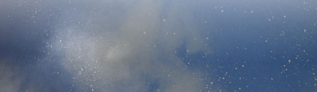 Thiên Hạ Đệ Nhất Y Lại Môn 80 trang 77