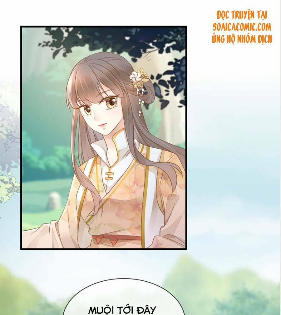 Thiên Kim Độc Phi Trọng Sinh 12 trang 5