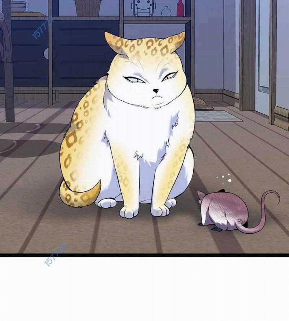 Thiên Phú Của Ngươi, Giờ Là Của Ta 0 ToptruyenZ.com trang 85