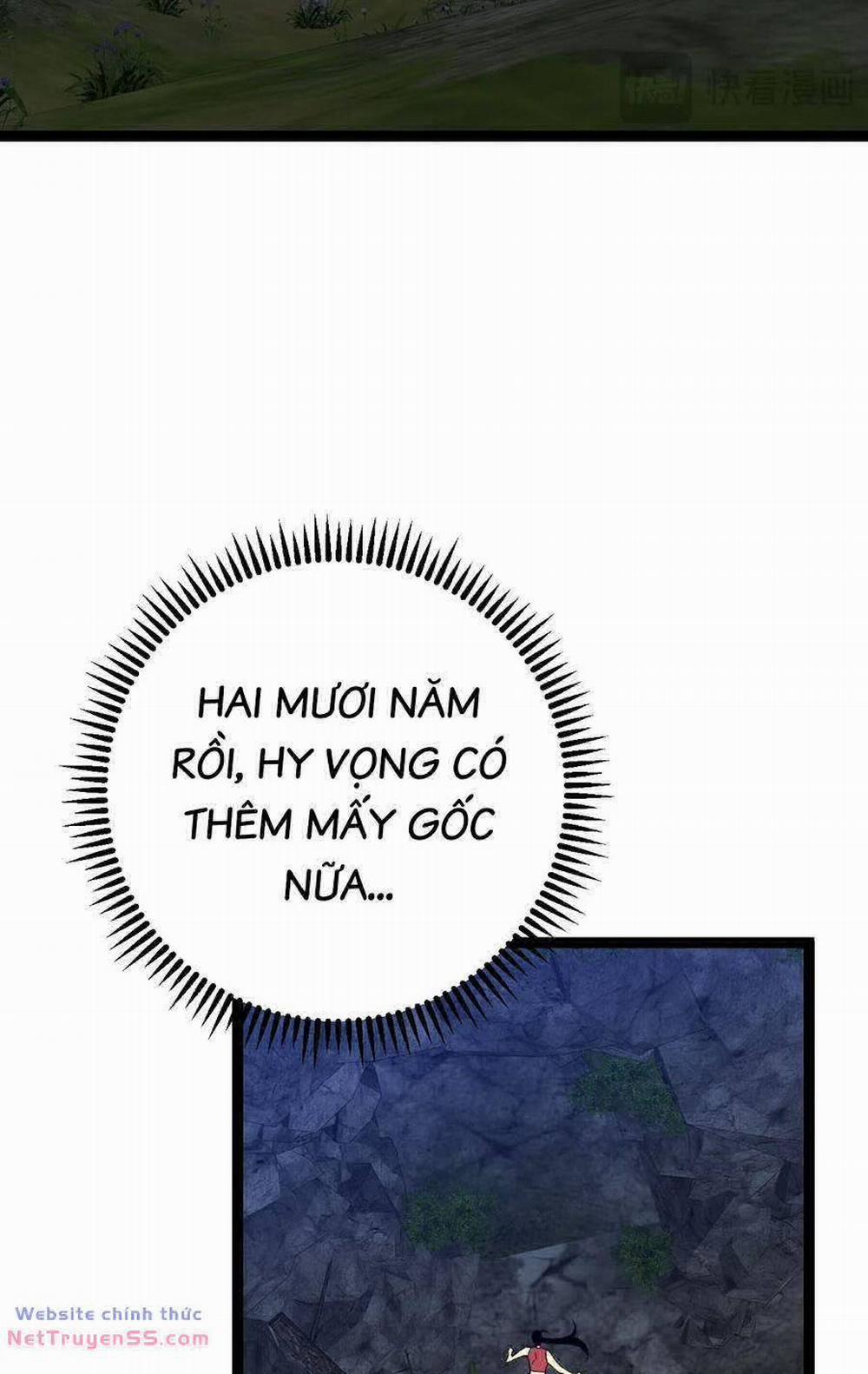 Thiên Phú Của Ngươi, Giờ Là Của Ta 68 trang 28