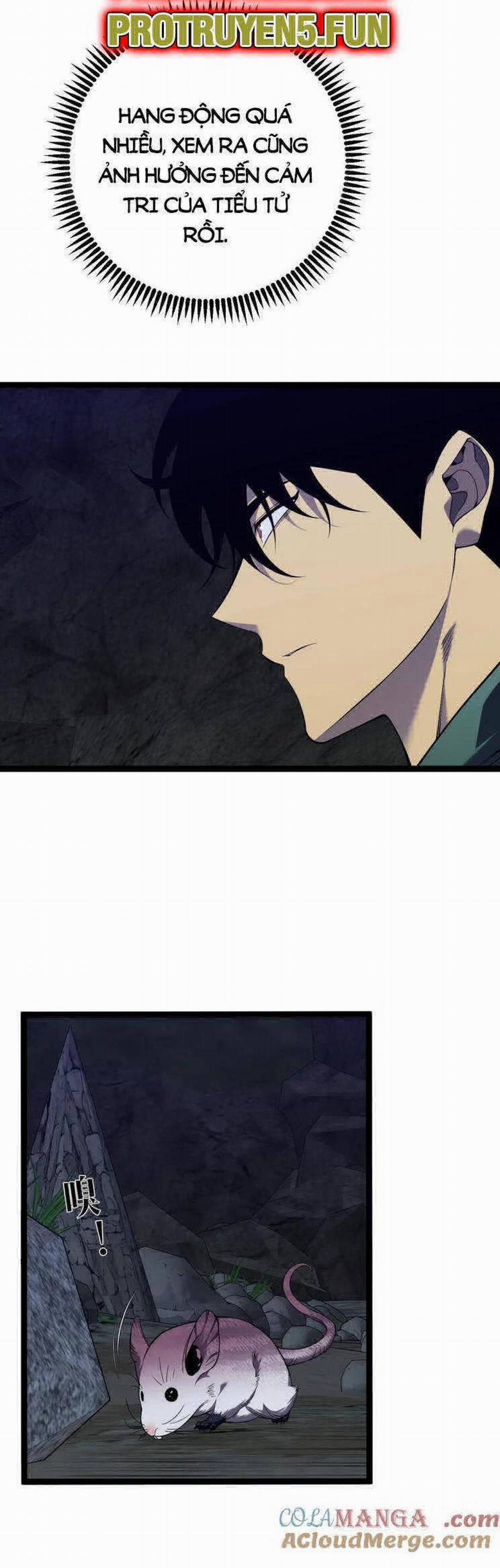 Thiên Phú Của Ngươi, Giờ Là Của Ta 79 trang 23