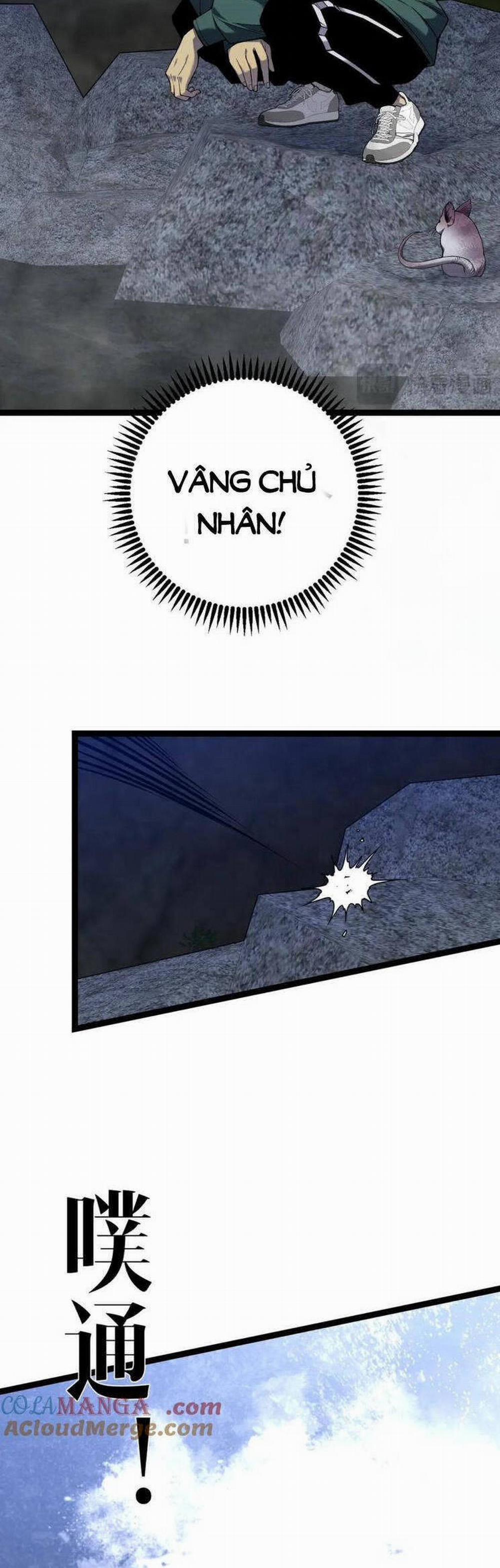 Thiên Phú Của Ngươi, Giờ Là Của Ta 79 trang 28