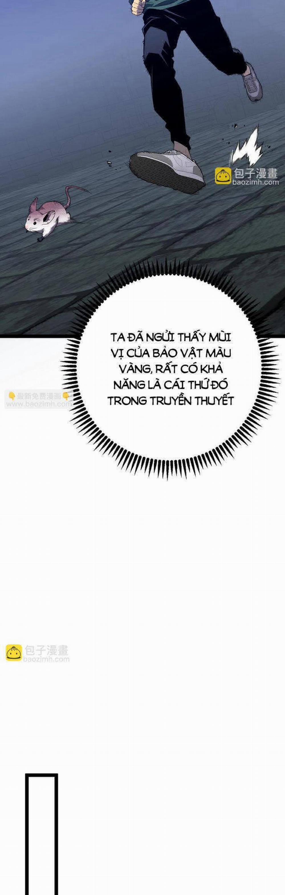 Thiên Phú Của Ngươi, Giờ Là Của Ta 80 trang 33