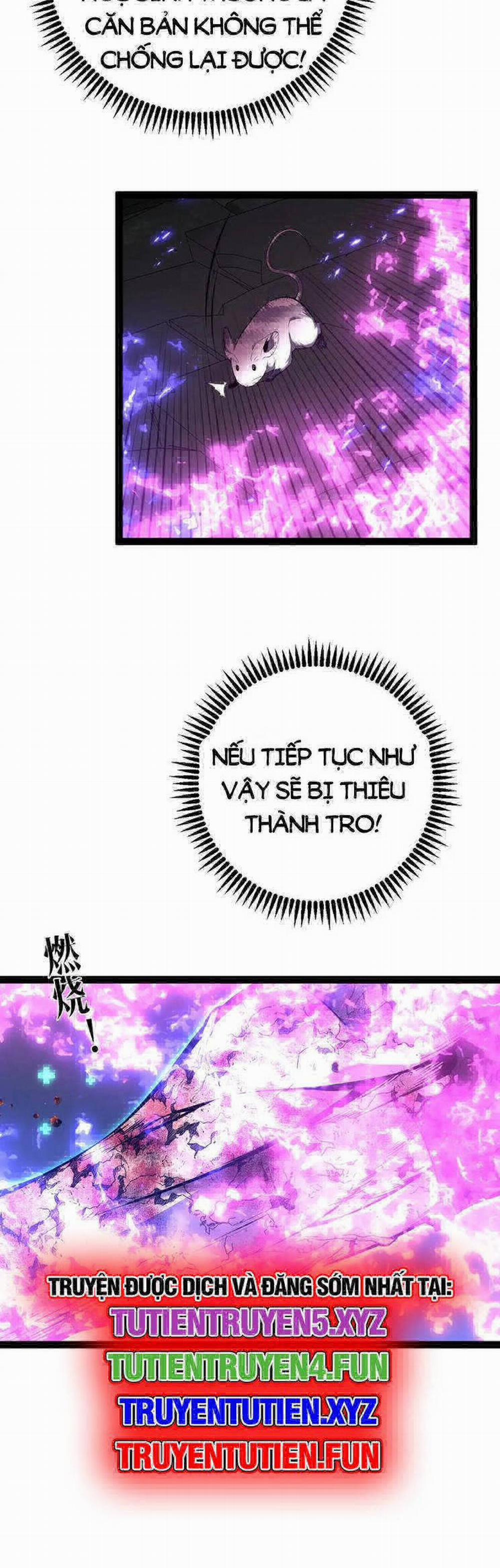 Thiên Phú Của Ngươi, Giờ Là Của Ta 81 trang 16