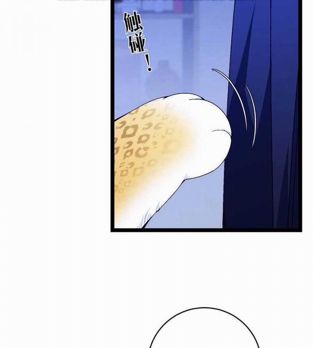 Thiên Phú Của Ngươi, Giờ Là Của Ta 85: ToptruyenZ.com trang 74