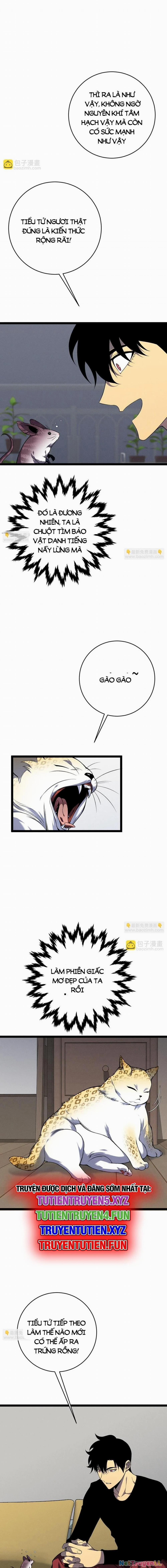 Thiên Phú Của Ngươi, Giờ Là Của Ta 89 trang 5