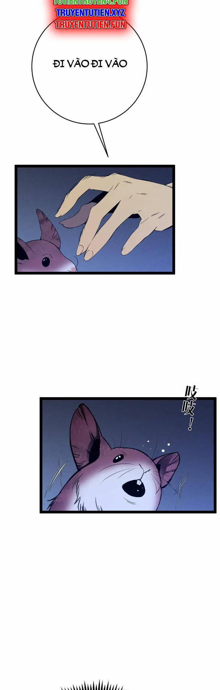 Thiên Phú Của Ngươi, Giờ Là Của Ta 94 trang 12