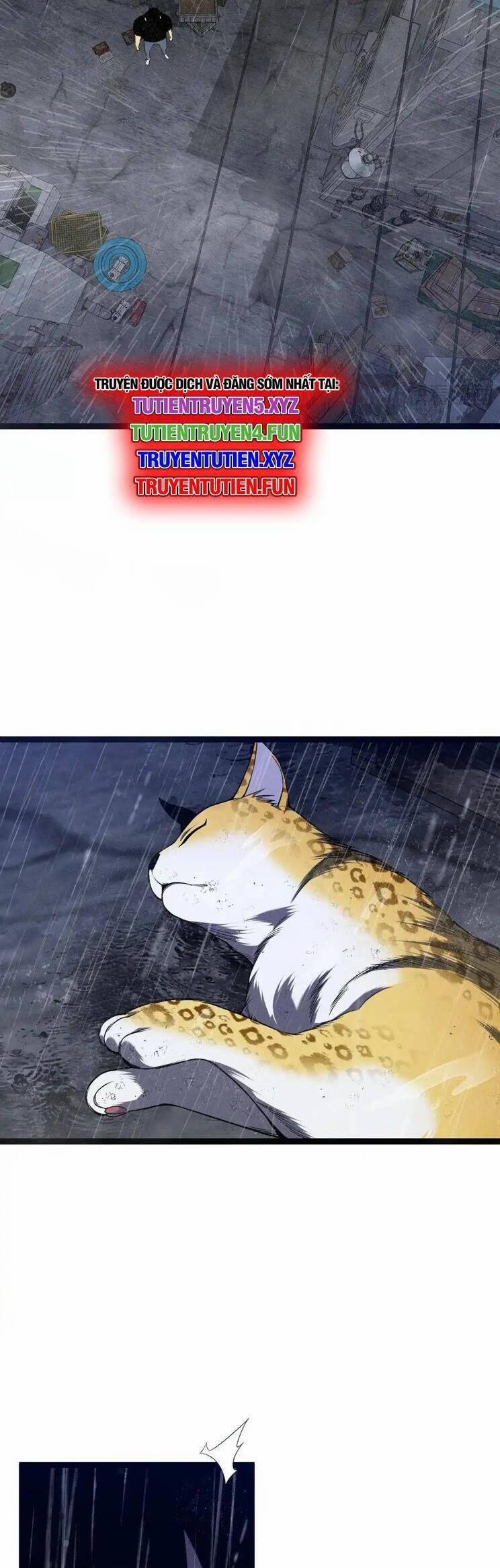 Thiên Phú Của Ngươi, Giờ Là Của Ta 95 trang 5