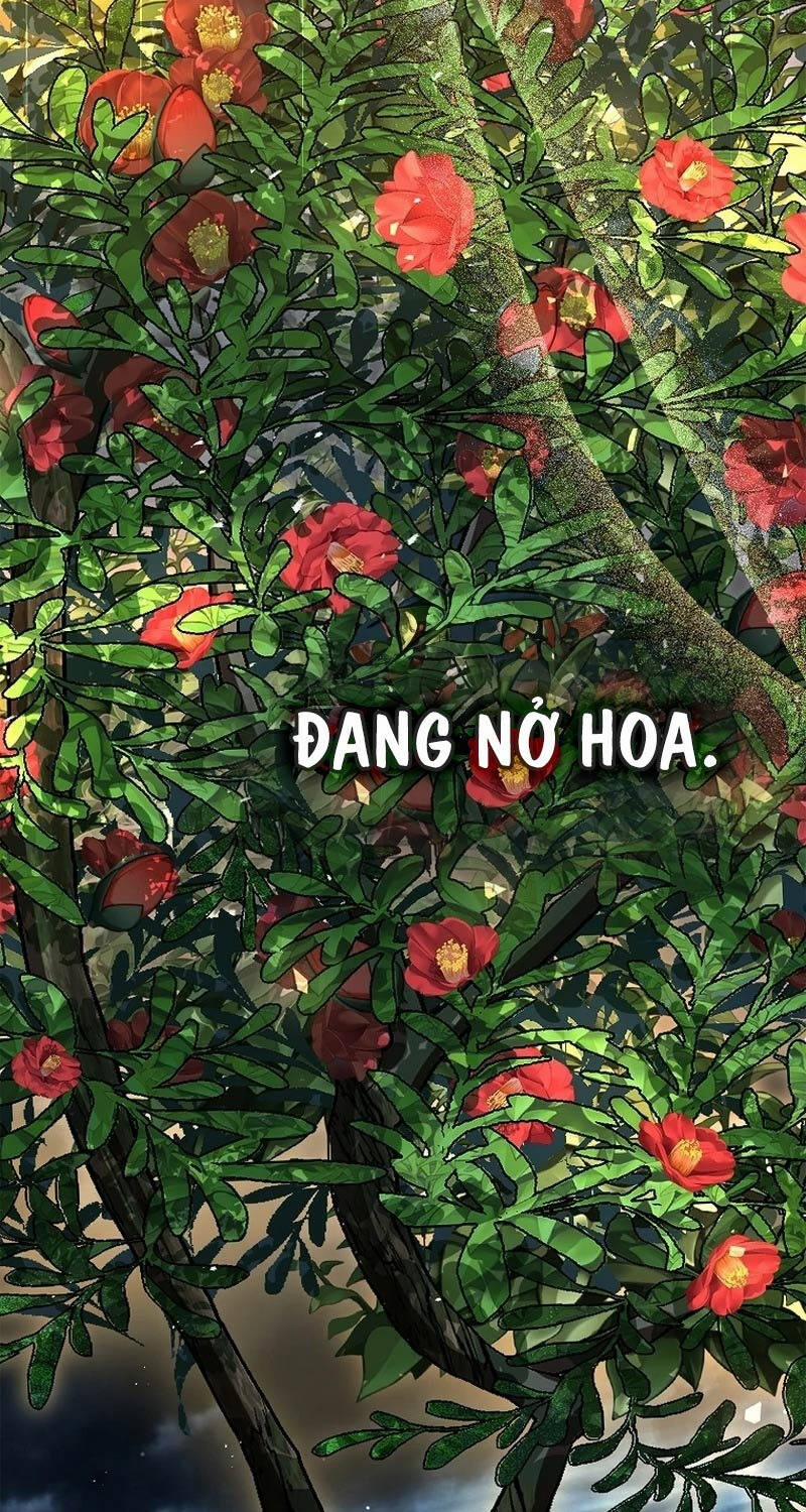 Thiên Tài Ma Pháp Sư Giấu Nghề 83 trang 115