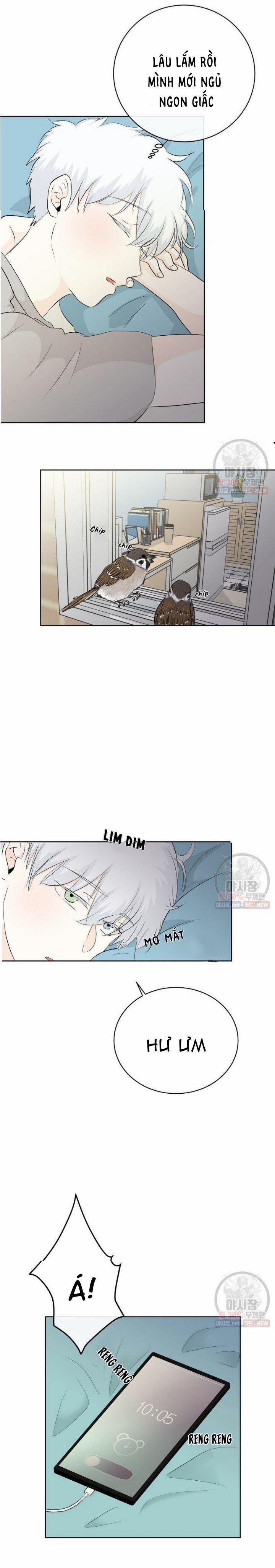 Thiên Thần Rơi Xuống Nhà Tôi 3 trang 10