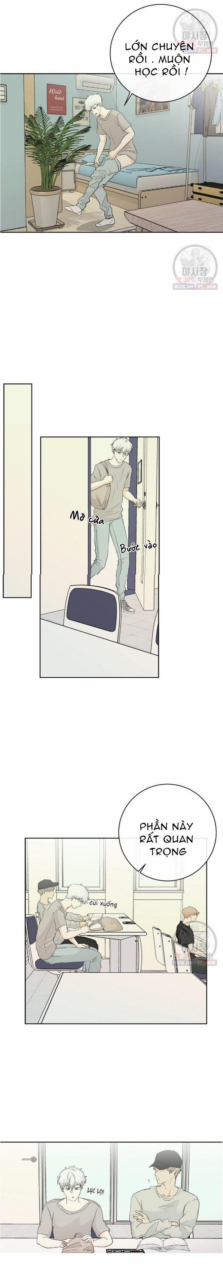 Thiên Thần Rơi Xuống Nhà Tôi 3 trang 11