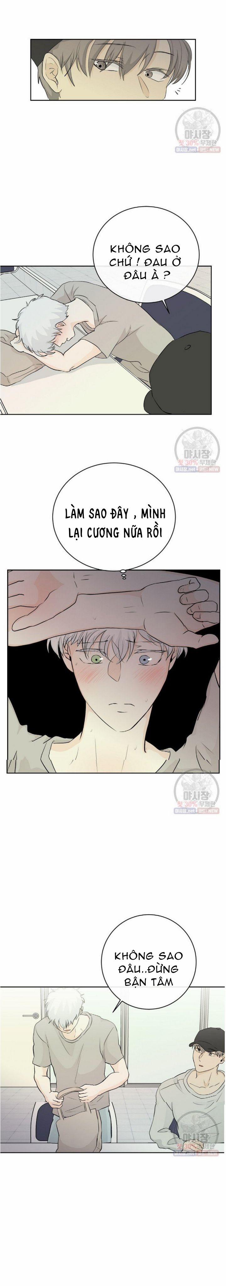 Thiên Thần Rơi Xuống Nhà Tôi 3 trang 14