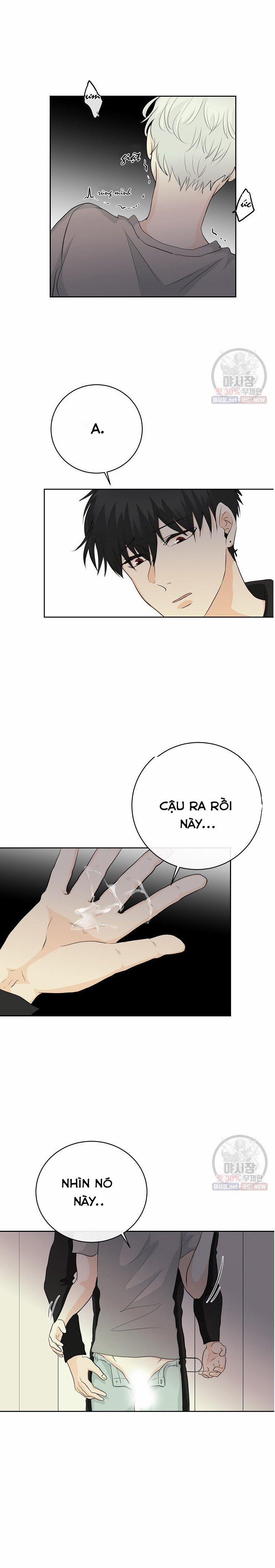 Thiên Thần Rơi Xuống Nhà Tôi 4 trang 12