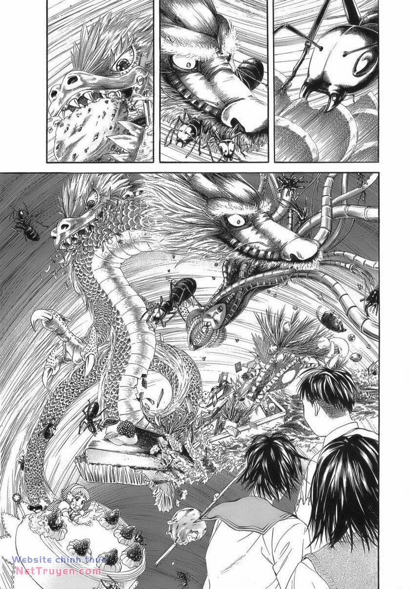 Thiếu Niên Thiếu Nữ Phiêu Lưu Ký 12 trang 15