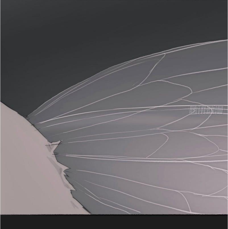 Thỉnh Cùng Ta Đồng Miên 2 trang 2