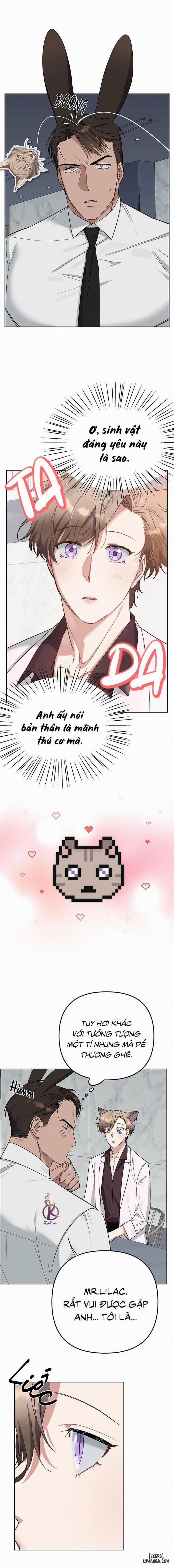 Thỏ 3 giây là bắn 2 trang 2