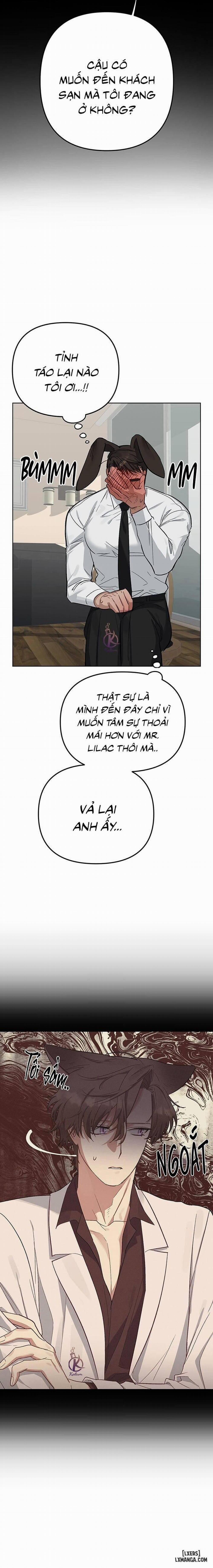 Thỏ 3 giây là bắn 3 trang 2