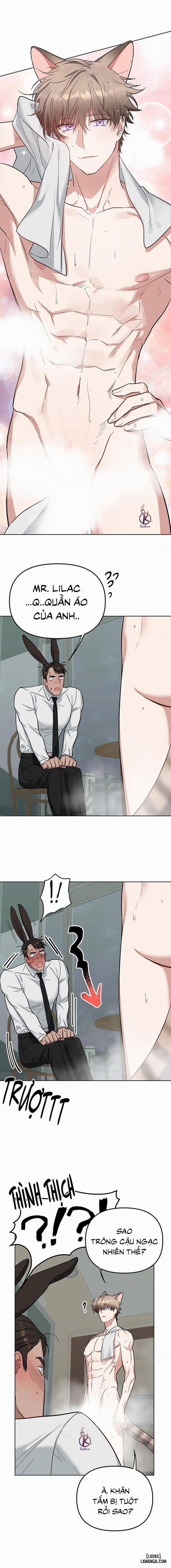 Thỏ 3 giây là bắn 3 trang 4