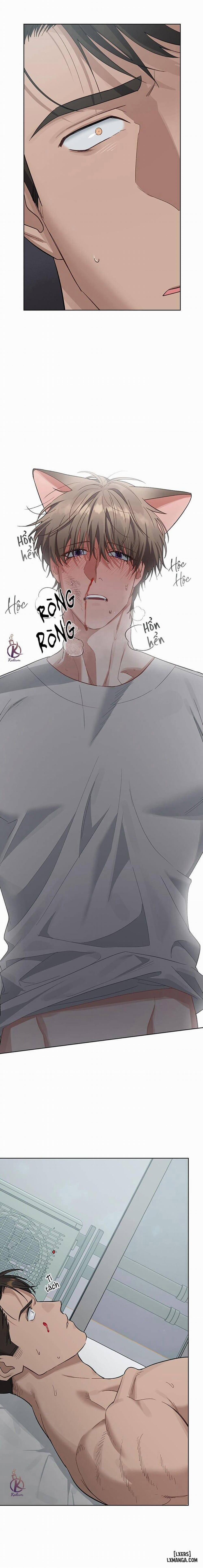 Thỏ 3 giây là bắn 4 trang 11